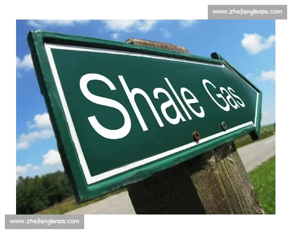 印度VS全球产业链重构背景下的新竞争格局与战略走向前瞻观察