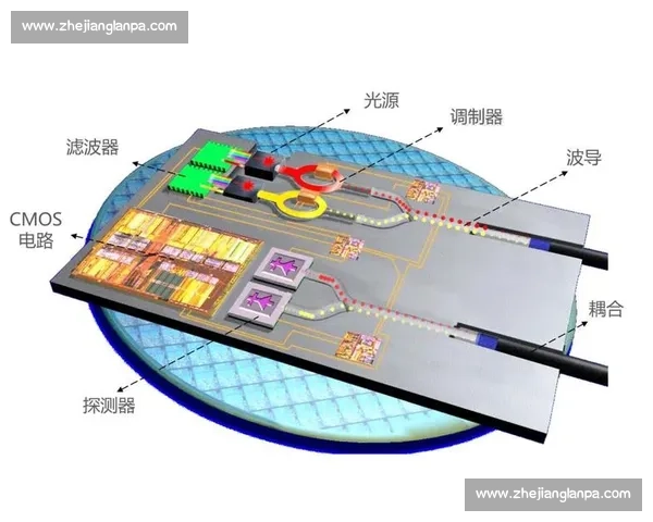 科娃vs光片全面对比解析性能优势与应用前景探讨趋势判断研究